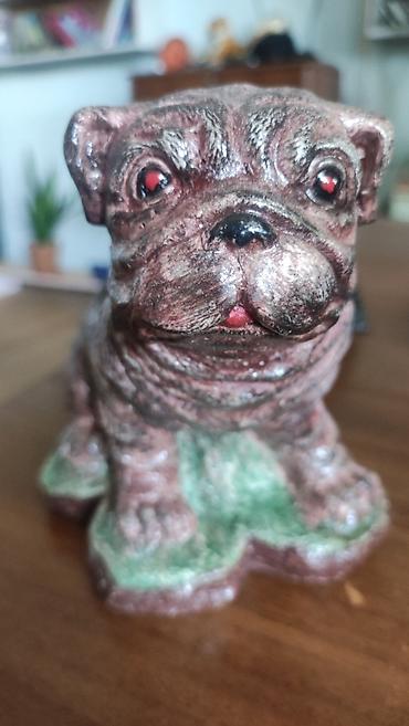 fransız bulldog: Fiqur, Gips — 4