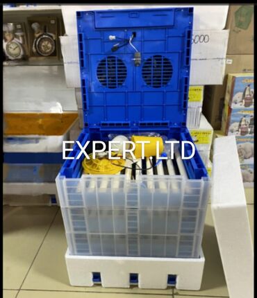 Kənd təsərüfatı heyvanları üçün digər mallar: Smart-rejimli,avtomat inkubator satılır. İnkubator yenidi,və təmiz — 2