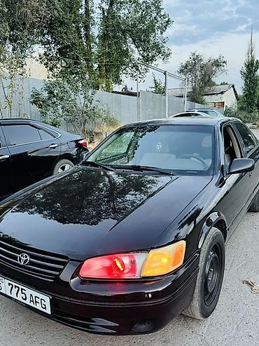 на камри 20: Toyota Camry: 1999 г., 2.2 л, Автомат, Бензин, Седан — 9