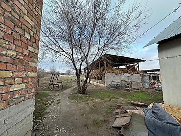 Продажа коттеджей и домов: Трёхкомнатная времянка и новый дом четыре комнатные плюс сарай 20/6 — 41