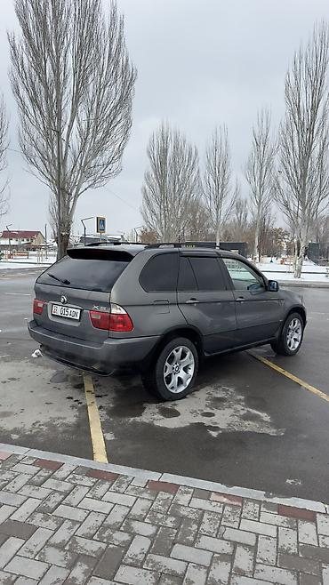 BMW: BMW X5: 2006 г., 3 л, Автомат, Бензин — 4