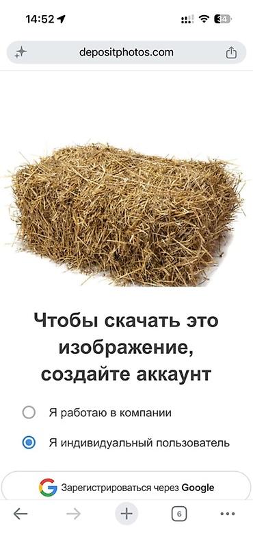 Солома в тюках - Прессованная прямоугольными тюками - Подходит для at lalafo.kg Солома в тюках - Прессованная прямоугольными тюками - Подходит для