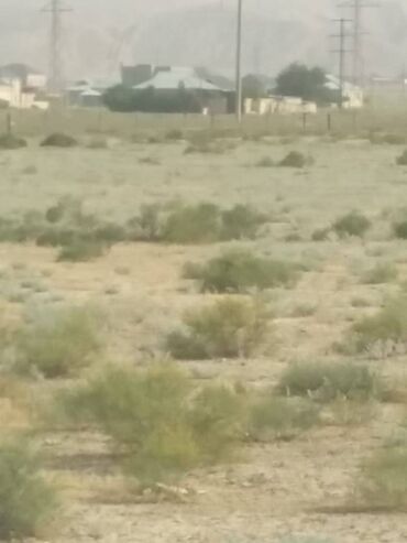 Torpaq sahələrinin satışı: 1100 sot, Kənd təsərrüfatı, Barter mümkündür, Bələdiyyə — 7