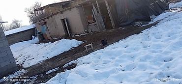 Продажа домов: Дом, 14 м², 6 комнат, Собственник, Косметический ремонт at lalafo.kg — 13 Продажа домов: Дом, 14 м², 6 комнат, Собственник, Косметический ремонт — 13