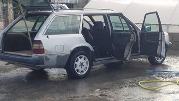 Mercedes-Benz: Mercedes-Benz 250: 2.5 l. | 1989 έ. Πολυμορφικό — 2