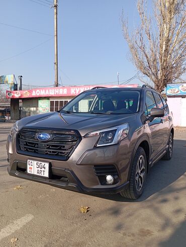 subaru авутбек: Subaru Forester: 2023 г., 2.5 л, Вариатор, Бензин, Внедорожник