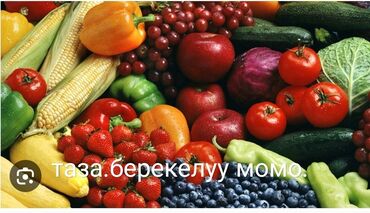 шланг для капельного полива цена: Табигый универсалдуу.Жер семирткич .тамыр аркылуу жана жалбырак менен
