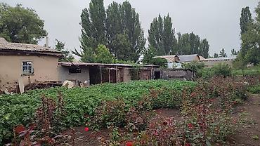 Продажа домов: Дом, 150 м², 4 комнаты, Собственник, Косметический ремонт — 13