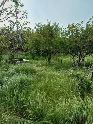 Bağ evlərinin satışı: Sumqayıt, 242 kv. m, 11 otaq, Hovuzsuz, Su — 2