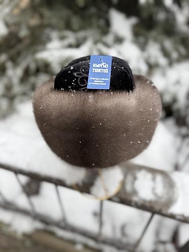 Шапки: Шапка, Ушанка, Норка, Зима, С отворотами — 6