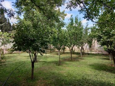 Həyət evləri və villaların satışı: 6 otaqlı, 400 kv. m, Orta təmir — 13