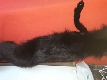 Krzneni kaputi: One size, Polarna lisica, bоја - Crna na lalafo.rs — 9 Krzneni kaputi: One size, Polarna lisica, bоја - Crna — 9