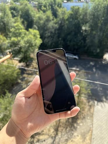 ipnone x: IPhone 13 Pro, Б/у, 256 ГБ, Matte Silver, 100 % — 3