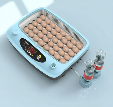 Oprema za kućne ljubimce: INKUBATOR Automatski nove generacije za 40 jaja 12v/220v — 1