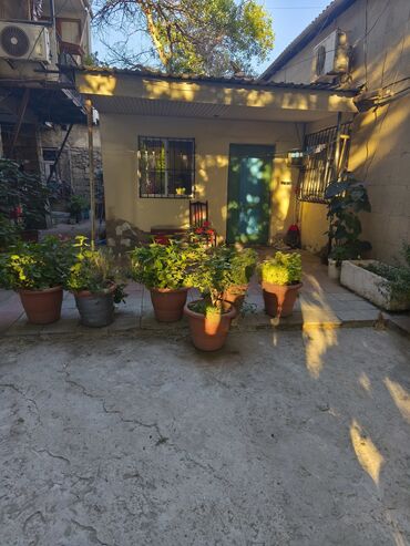 Köhnə tikili: Bakı, 7-ci mikrorayon, 4 otaqlı, Köhnə tikili, m. Azadlıq Prospekti, 70 kv. m -da lalafo.az — 9 Köhnə tikili: Bakı, 7-ci mikrorayon, 4 otaqlı, Köhnə tikili, m. Azadlıq Prospekti, 70 kv. m — 9