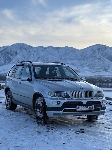 BMW: BMW X5 M: 2003 г., 3 л, Автомат, Дизель, Кроссовер — 10