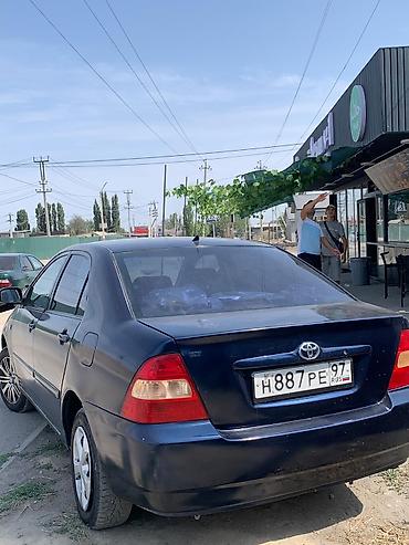 Toyota: Toyota Corolla: 2004 г., 1.6 л, Механика, Бензин, Седан — 11