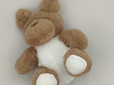 Mascot Teddy bear, condition - Very good