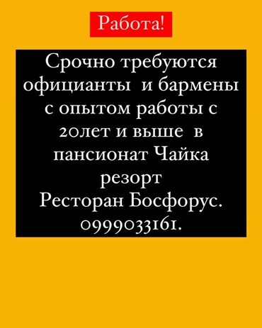 водитель категории б: Кызматкер талап кылынат: Ресторан, Төлөм Күнүмдүк