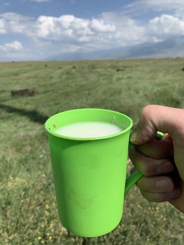 капельница золушка купить в аптеке цена: КЫМЫЗ Лето в разгаре. Это значит что и сезон кымыза🐎🍶в разгаре