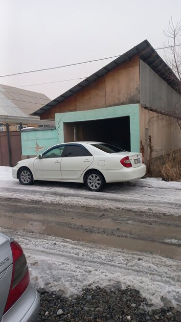 Toyota: Toyota Camry: 2003 г., 2.4 л, Механика, Газ, Седан