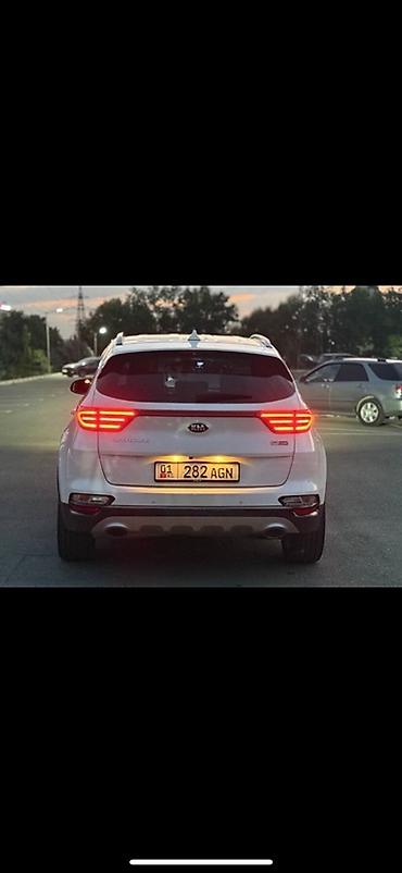 Kia: Kia Sportage: 2019 г., 2 л, Автомат, Дизель, Кроссовер — 5