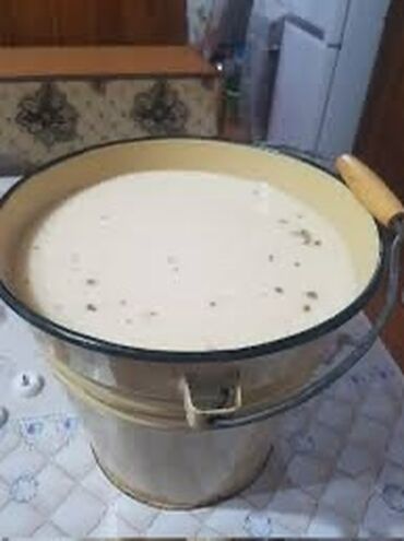 крышка бака: Алайкуу Кымызы сатылат