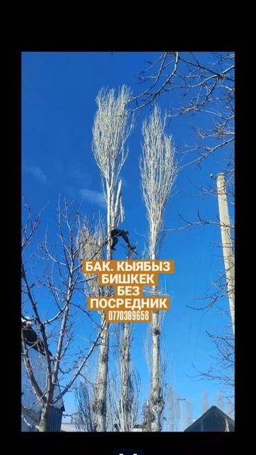 купить перекись водорода в бишкеке: Спил вырубка деревьев, любой сложности. инструменты профессиональные