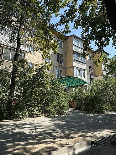 сдаю орто сай: 3 комнаты, Собственник, Можно с животными, от 6 месяцев, С мебелью частично — 1