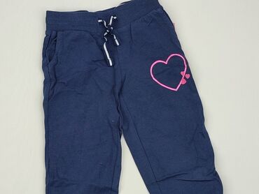 Spodnie: Spodnie dziecięce 5-6 lat, stan - Bardzo dobry, wzór - Print, kolor - Niebieski