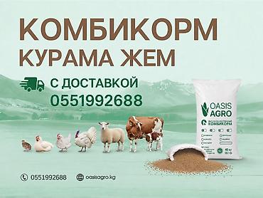 уй базар: Доставка корма Оазис Агро до Ваших ворот - Нужен хороший корм, чтобы — 1