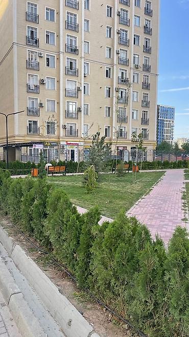 2комнаты: Строится, 2 комнаты, 72 м² — 10