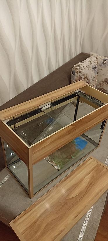 gence akvarium: Dördbucaq akvarium, Boş, 80 l — 5