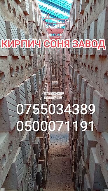 Тешиктүү, Бышкан кирпич, Жарым блок, 250×120×90
