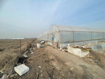 сколько зарабатывают визажисты в кыргызстане: Требуется работник в теплицу уход за растениями, полив по расписанию