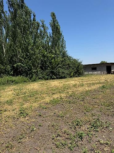 участки ивановка: 7 соток — 2