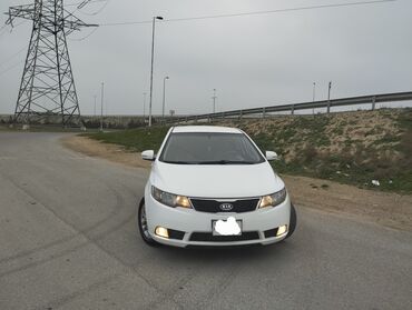 kia pikanto: Kia Cerato: 1.6 l | 2011 il Sedan