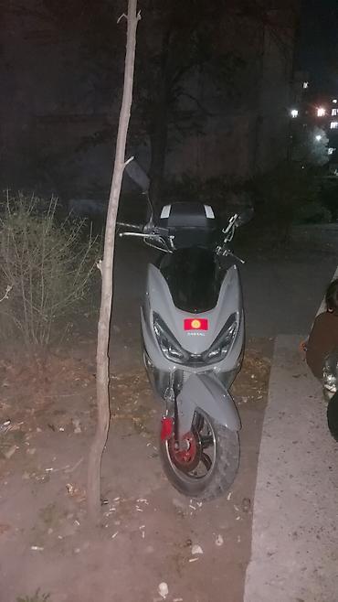 Скутеры: Макси-скутер 180 куб. см, Бензин, Б/у — 12