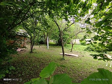 qubada torpaq sahesi satilir: 6 sot, Tikinti, Mülkiyyətçi, Kupça (Çıxarış) — 3