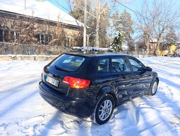 Audi: Audi A3: 1.6 l | 2006 г. Hečbek — 4