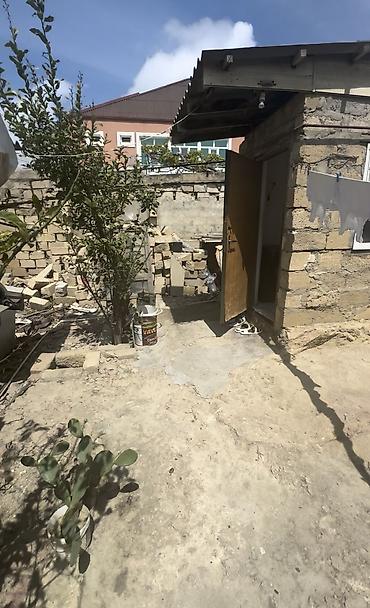 zigda heyet evleri: TƏCİLİ!Satılır: həyət evi və torpaq sahəsi - Ümumi tip: təkmərtəbəli — 2