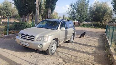 капот rx 330: Toyota Highlander: 2002 г., 3 л, Автомат, Бензин, Кроссовер — 4