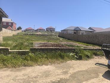 berde: 10 sot, Tikinti, Kupça (Çıxarış) — 3