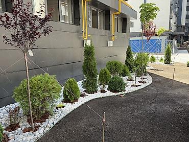 Продажа квартир: 3 комнаты, 88 м², Тунгуч мкр Элитка, 11 этаж, Евроремонт — 5