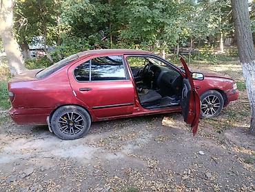 тойота пробакс: Nissan Primera: 1996 г., Механика, Бензин, Седан — 1