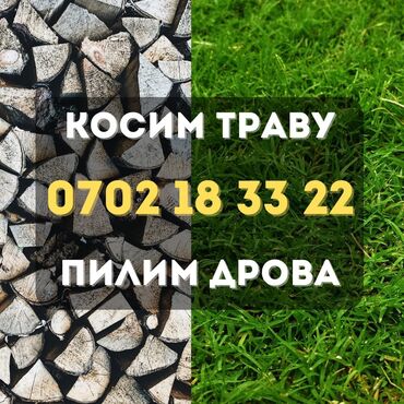 в городе токмок: Уборка территории, Стрижка газона, Другое, Уборка двора и сада