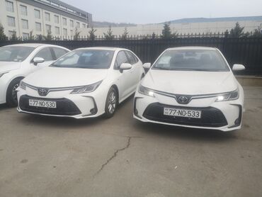 tır icarəsi: 600depozitle gunu 40azn Yalniz bir ayliq 0klm Sora 50azn olacqq Heleki