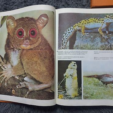 Другие книги и журналы: Книги. Три больших энциклопедии. Состояние хорошее, все страницы на — 4