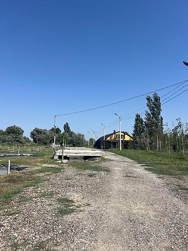 кепер арык: Балык чарбачылыгы, 300 соток, Иштебеген, Жабдуулары менен, Электр энергиясы — 4