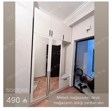 шкаф купе по индивидуальному заказу: Yeni, Düz dolab, Dəhliz dolabı